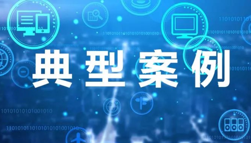 典型案例